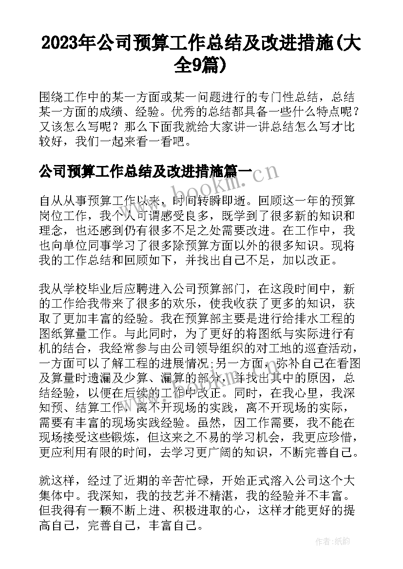 2023年公司预算工作总结及改进措施(大全9篇)