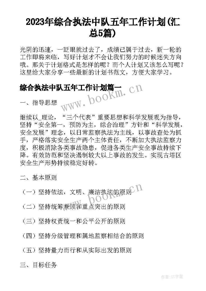 2023年综合执法中队五年工作计划(汇总5篇)