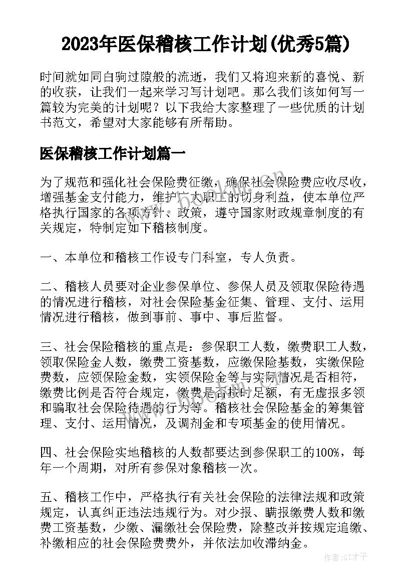 2023年医保稽核工作计划(优秀5篇)