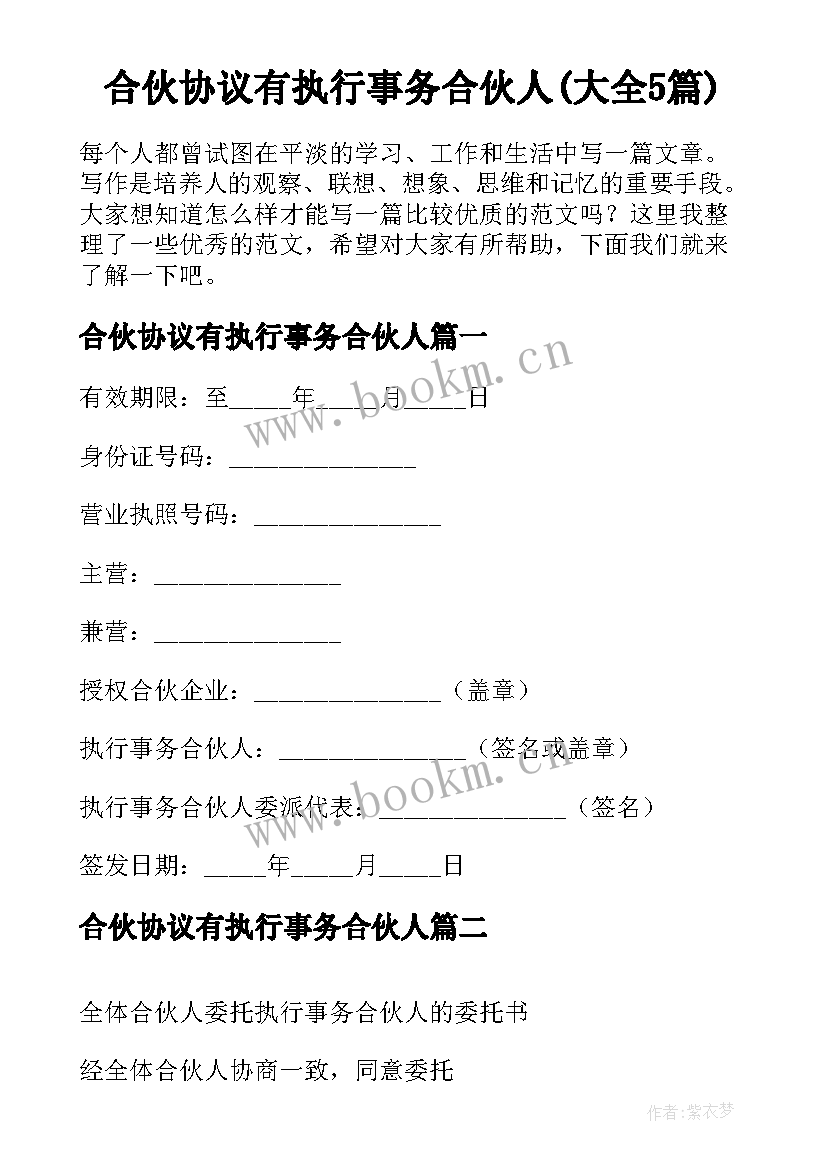 合伙协议有执行事务合伙人(大全5篇)