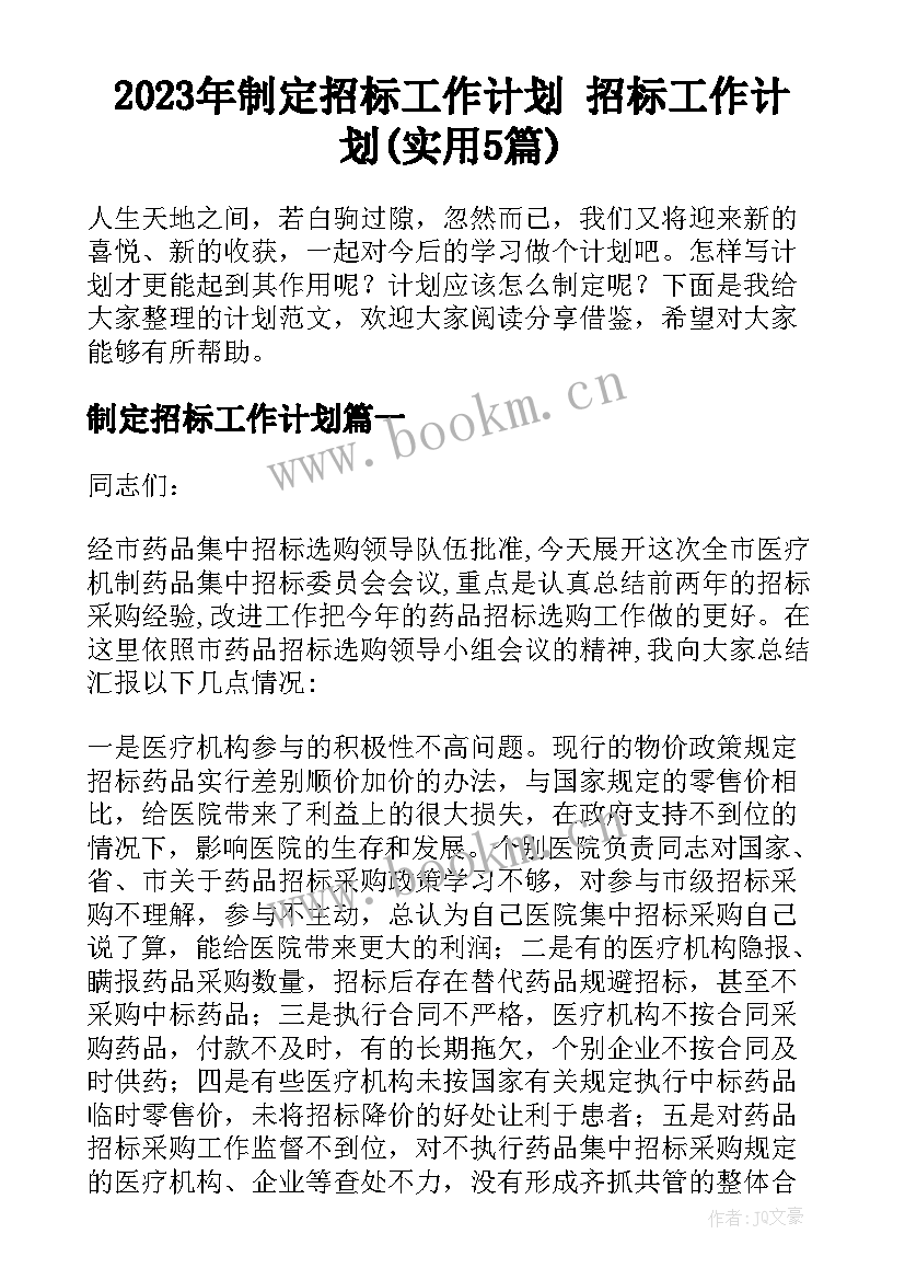 2023年制定招标工作计划 招标工作计划(实用5篇)