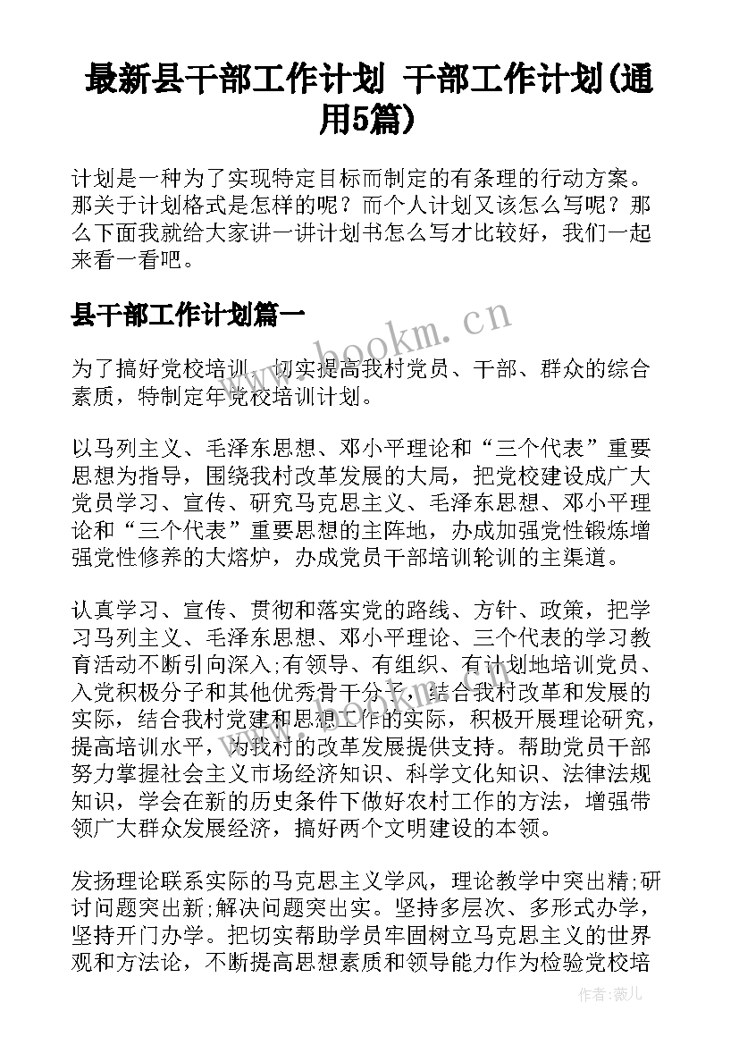 最新县干部工作计划 干部工作计划(通用5篇)