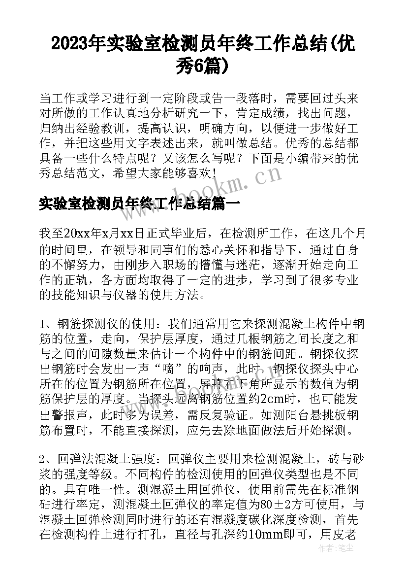 2023年实验室检测员年终工作总结(优秀6篇)