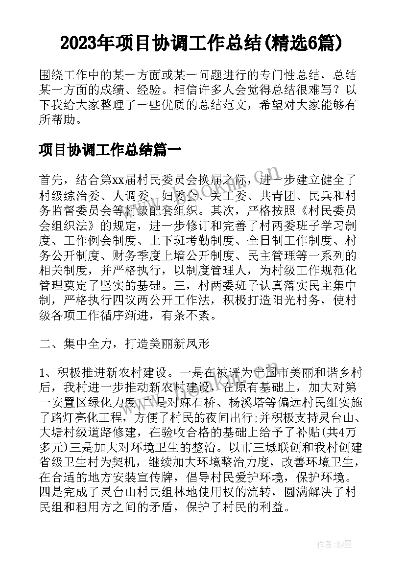 2023年项目协调工作总结(精选6篇)