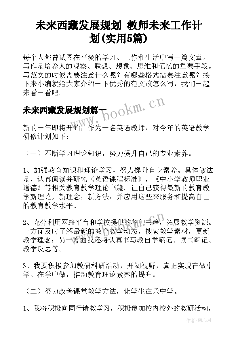 未来西藏发展规划 教师未来工作计划(实用5篇)