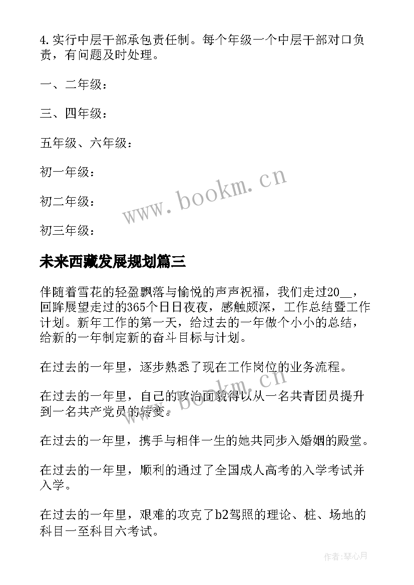 未来西藏发展规划 教师未来工作计划(实用5篇)