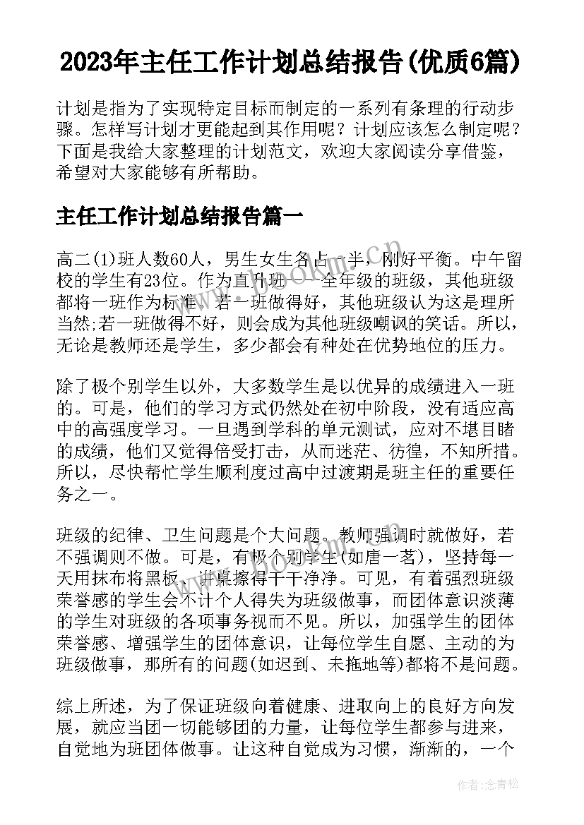 2023年主任工作计划总结报告(优质6篇)