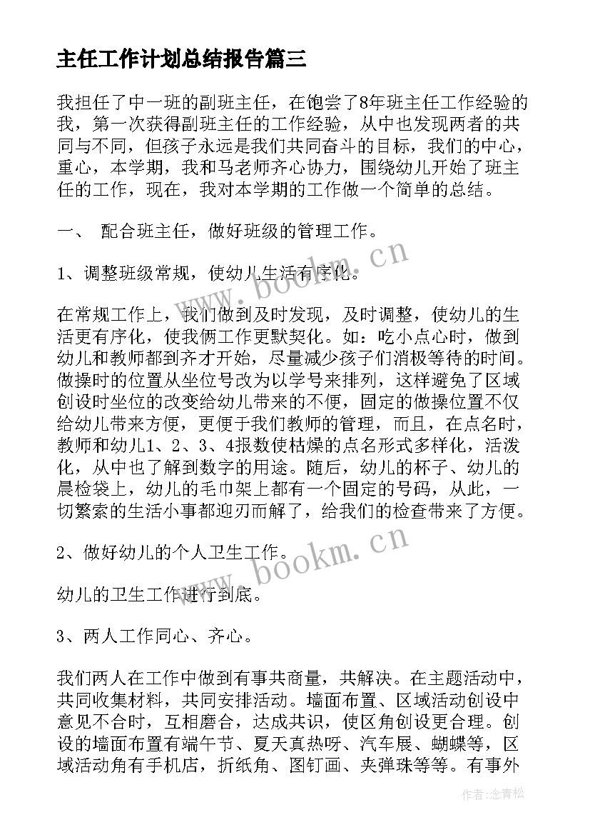 2023年主任工作计划总结报告(优质6篇)