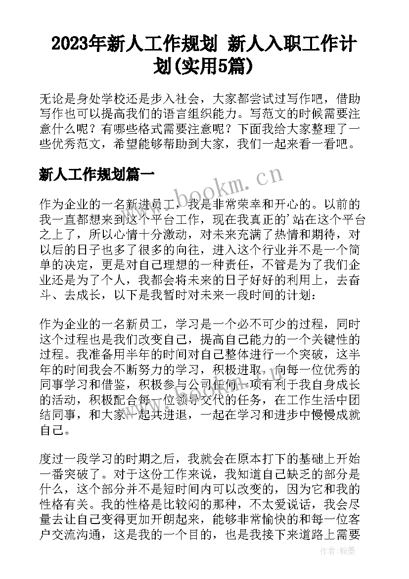 2023年新人工作规划 新人入职工作计划(实用5篇)