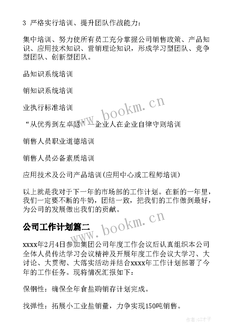 公司工作计划(优秀5篇)