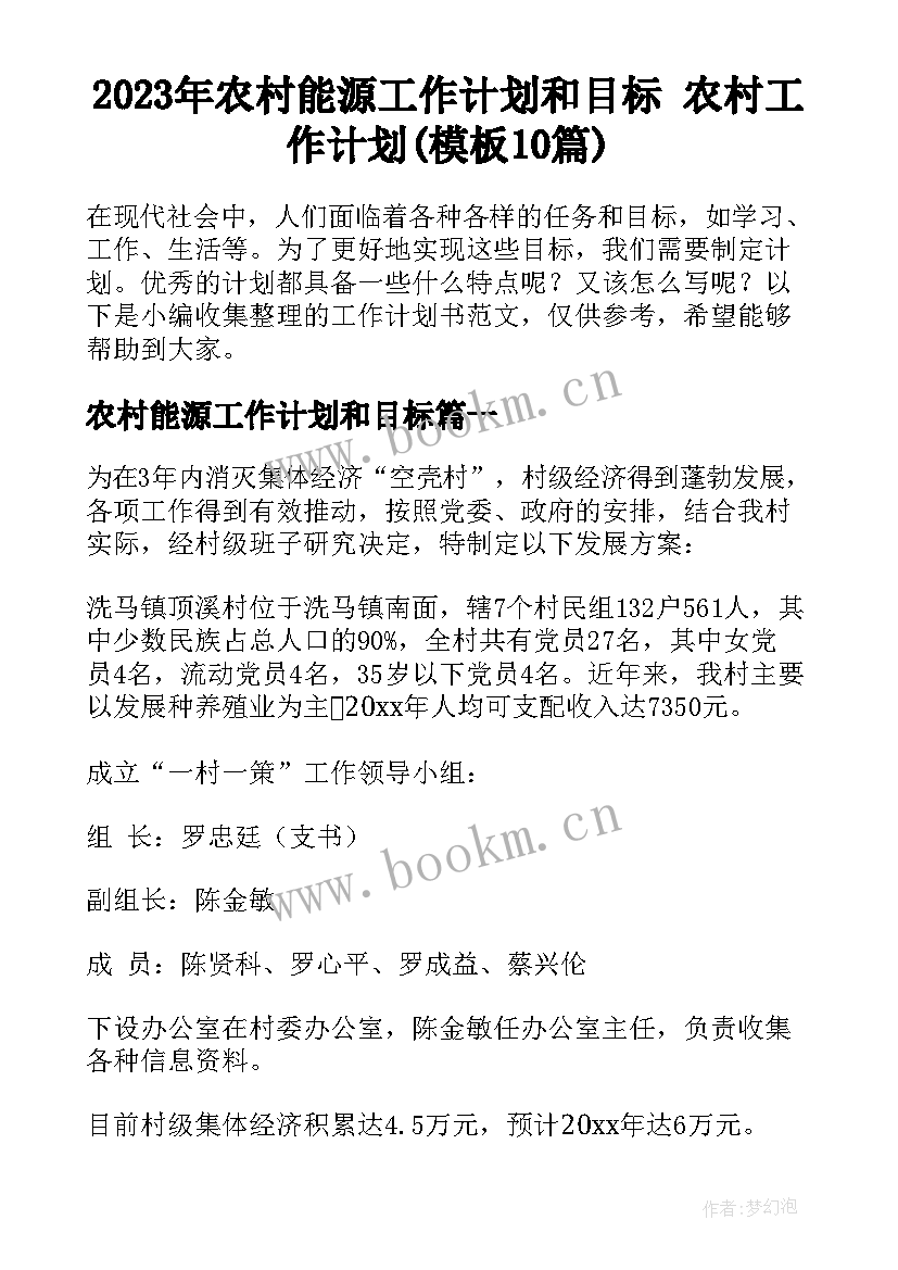 2023年农村能源工作计划和目标 农村工作计划(模板10篇)