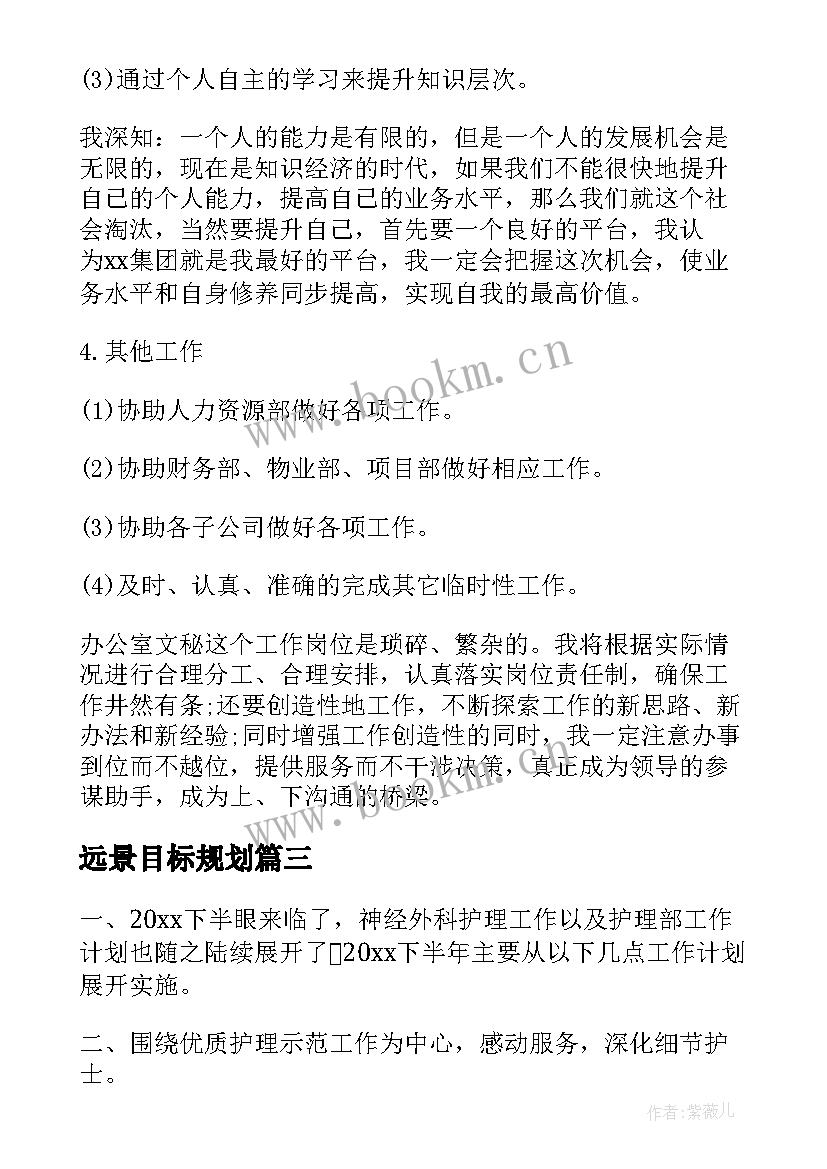 2023年远景目标规划(精选7篇)