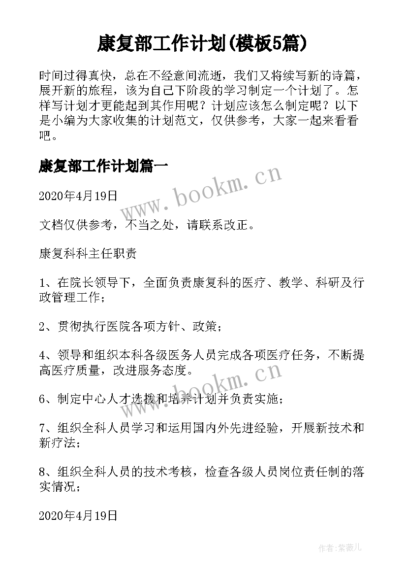 康复部工作计划(模板5篇)