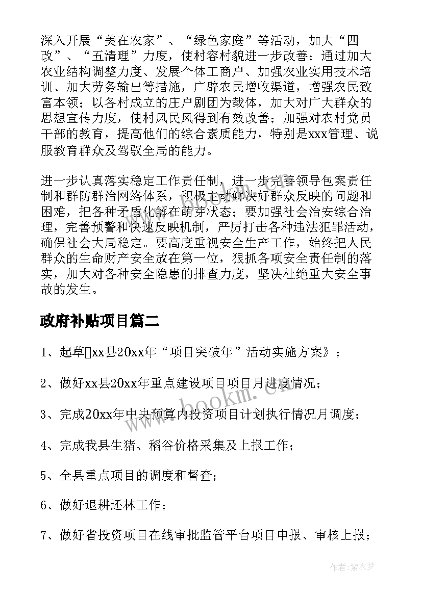 政府补贴项目 乡政府工作计划(精选10篇)