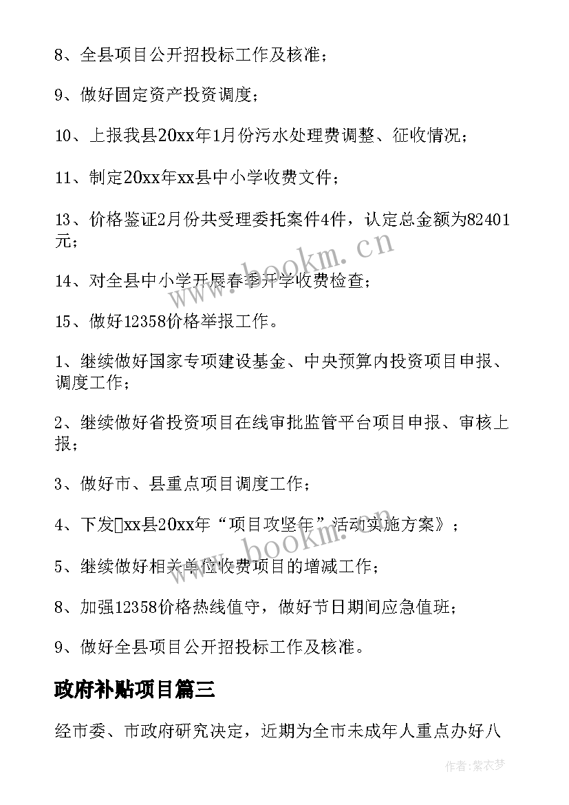 政府补贴项目 乡政府工作计划(精选10篇)