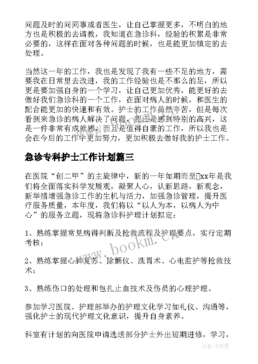 2023年急诊专科护士工作计划 急诊科护士年终总结(大全10篇)