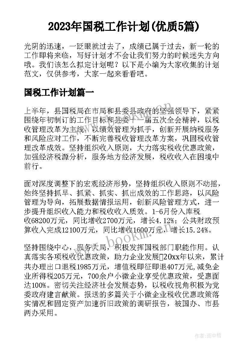 2023年国税工作计划(优质5篇)