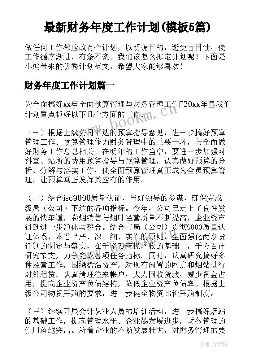 最新财务年度工作计划(模板5篇)