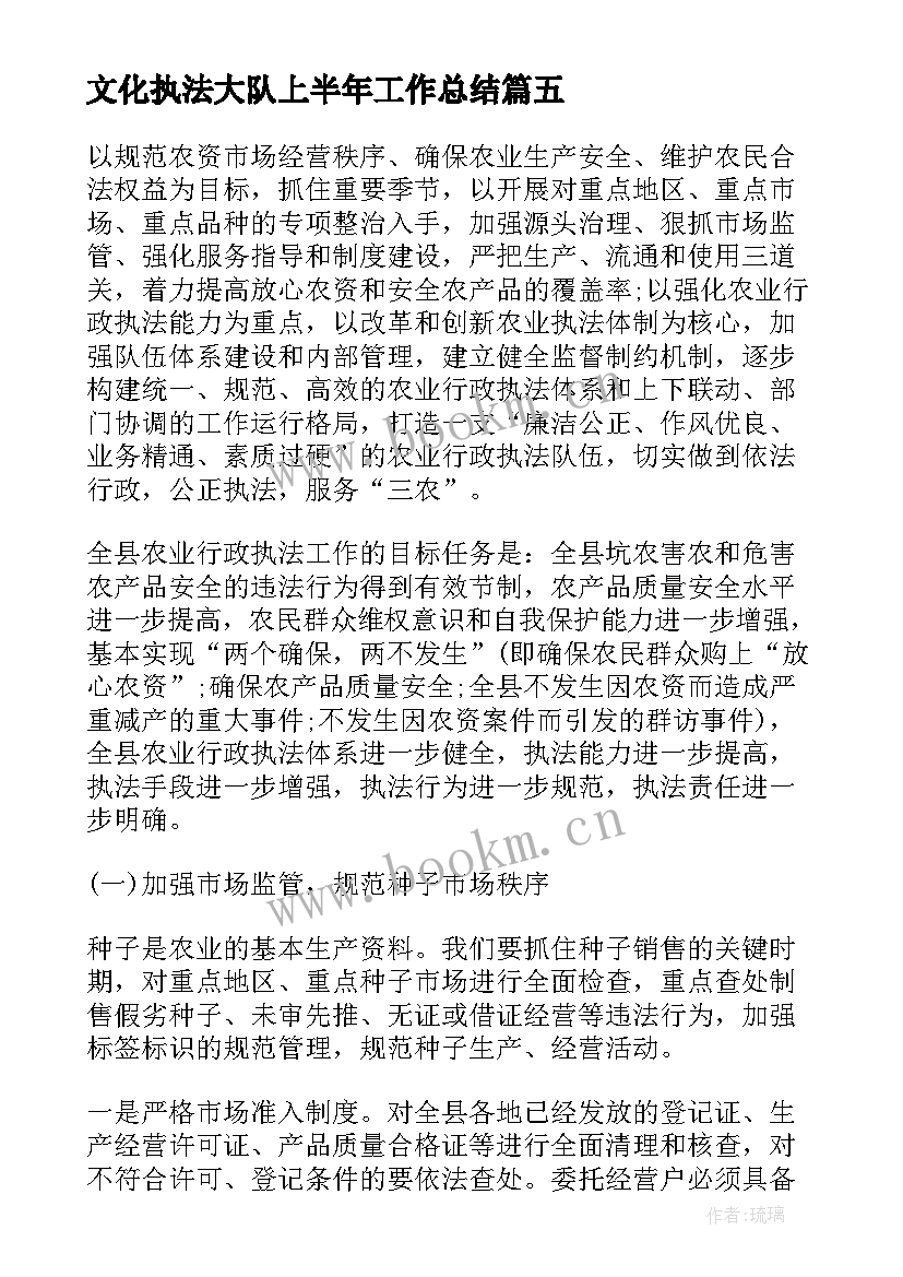 最新文化执法大队上半年工作总结(模板5篇)