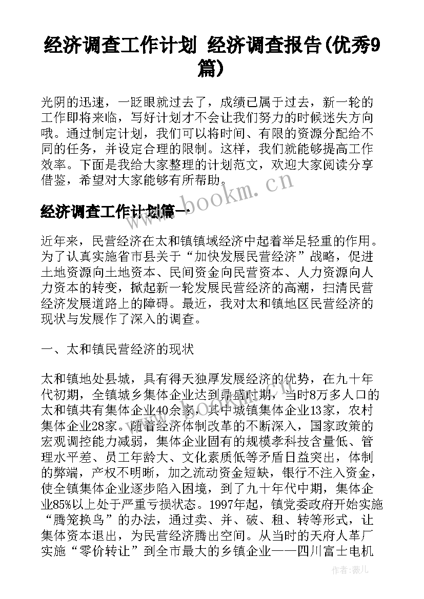 经济调查工作计划 经济调查报告(优秀9篇)