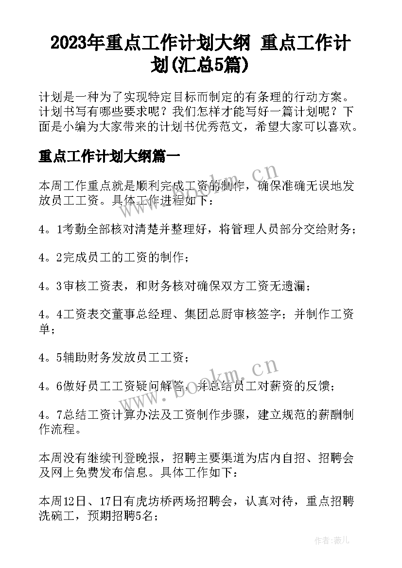 2023年重点工作计划大纲 重点工作计划(汇总5篇)