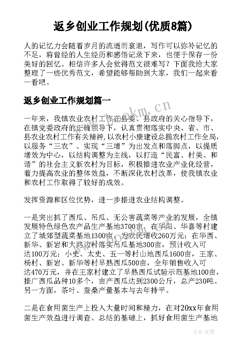 返乡创业工作规划(优质8篇)