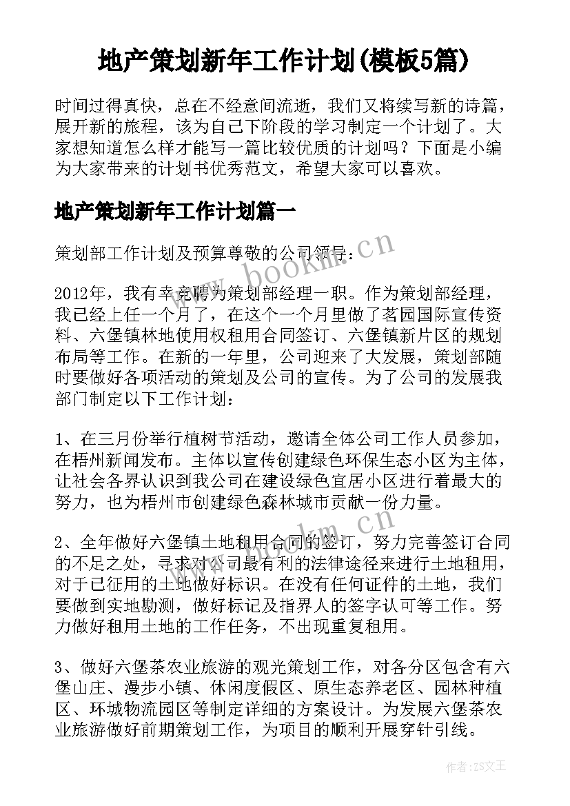 地产策划新年工作计划(模板5篇)