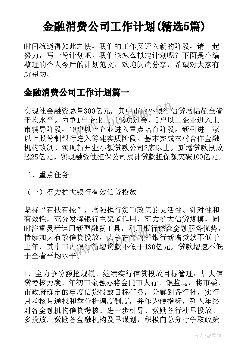 金融消费公司工作计划(精选5篇)