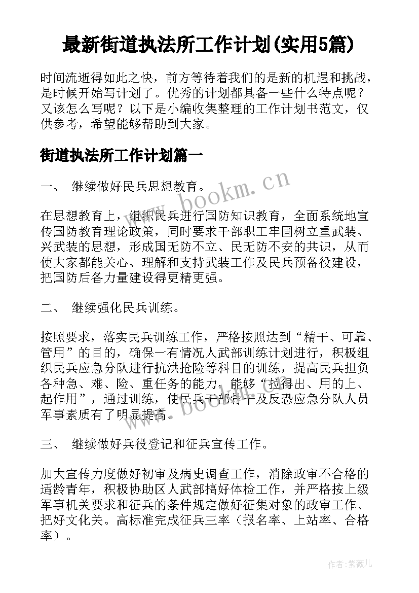 最新街道执法所工作计划(实用5篇)