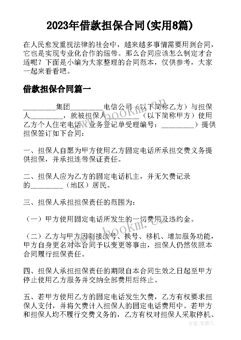 2023年借款担保合同(实用8篇)