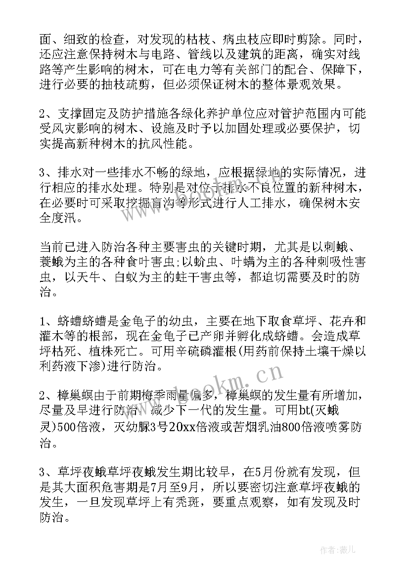 园林全年养护计划 绿化养护工作计划(通用7篇)