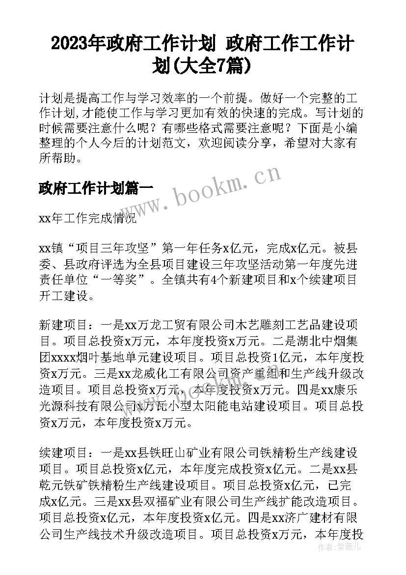 2023年政府工作计划 政府工作工作计划(大全7篇)