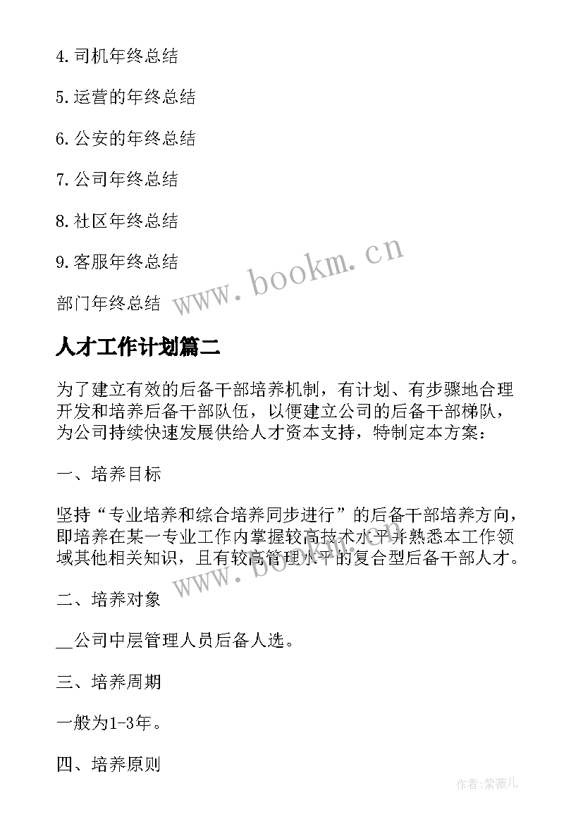 最新人才工作计划(精选10篇)