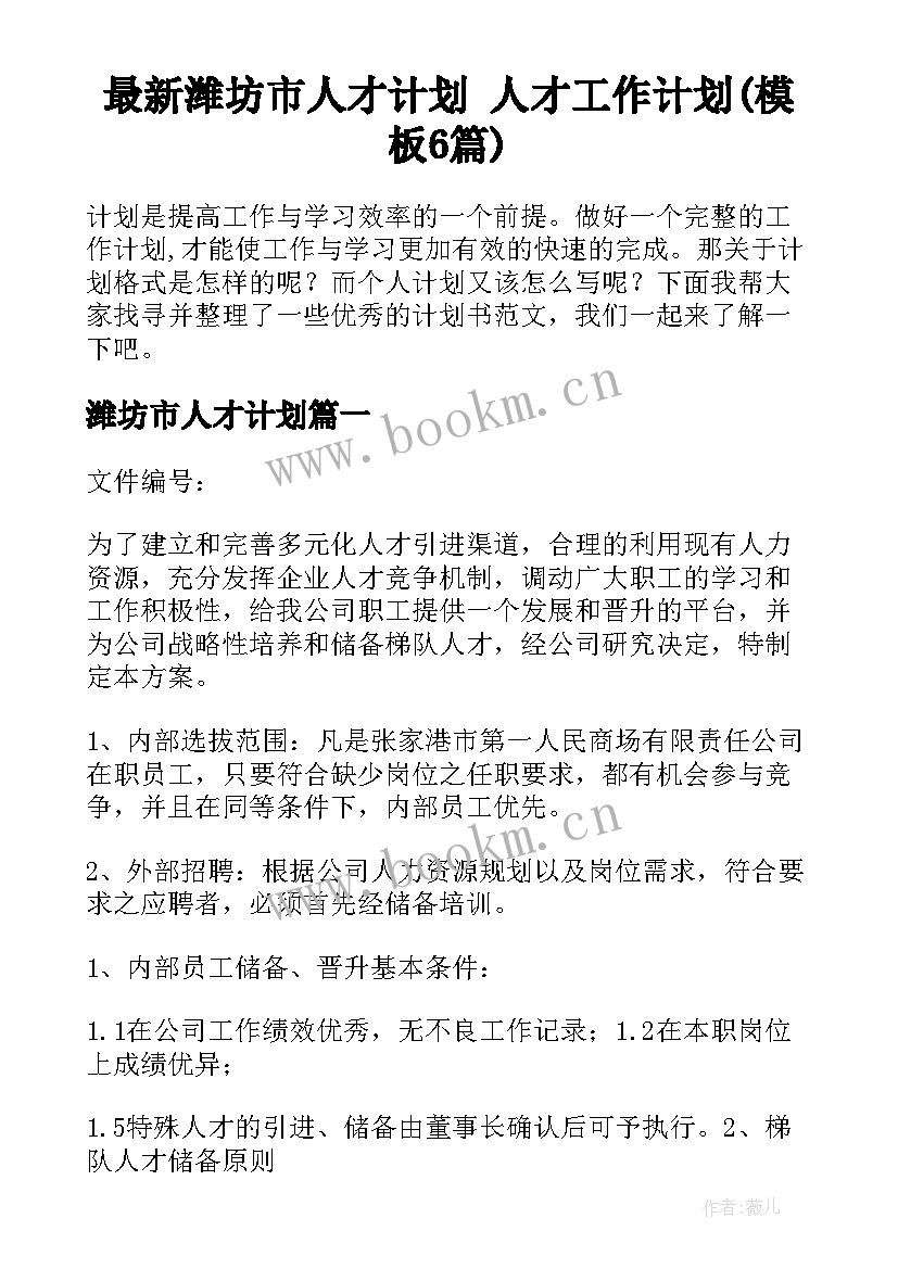 最新潍坊市人才计划 人才工作计划(模板6篇)