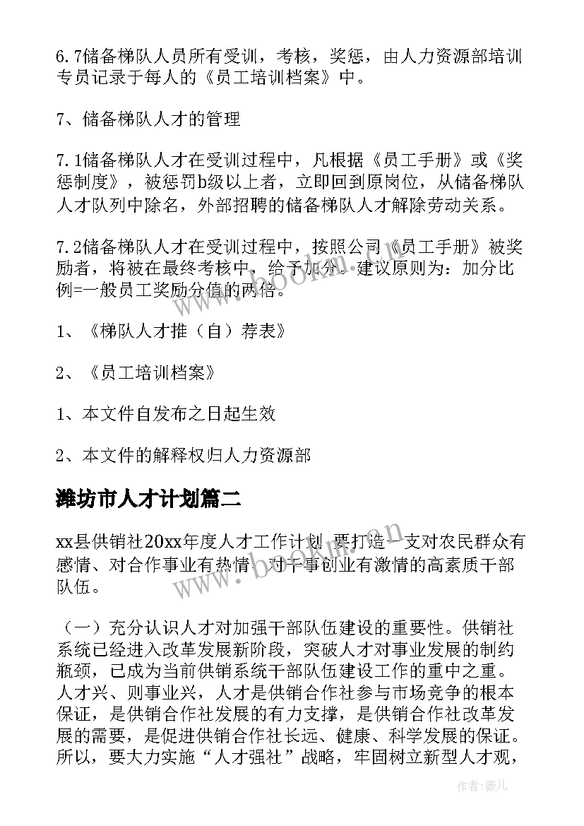 最新潍坊市人才计划 人才工作计划(模板6篇)