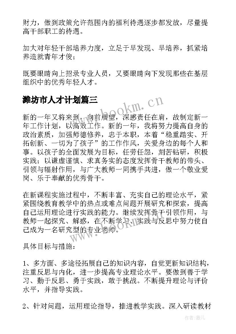 最新潍坊市人才计划 人才工作计划(模板6篇)