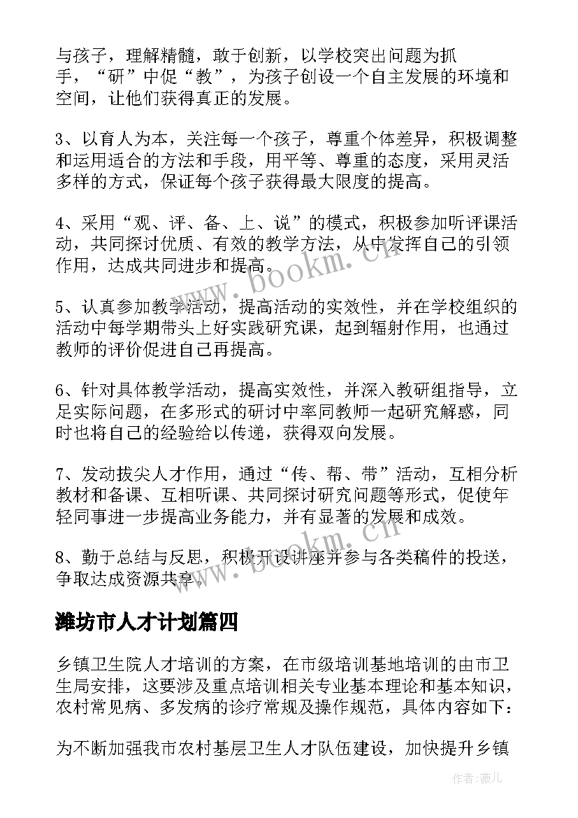 最新潍坊市人才计划 人才工作计划(模板6篇)