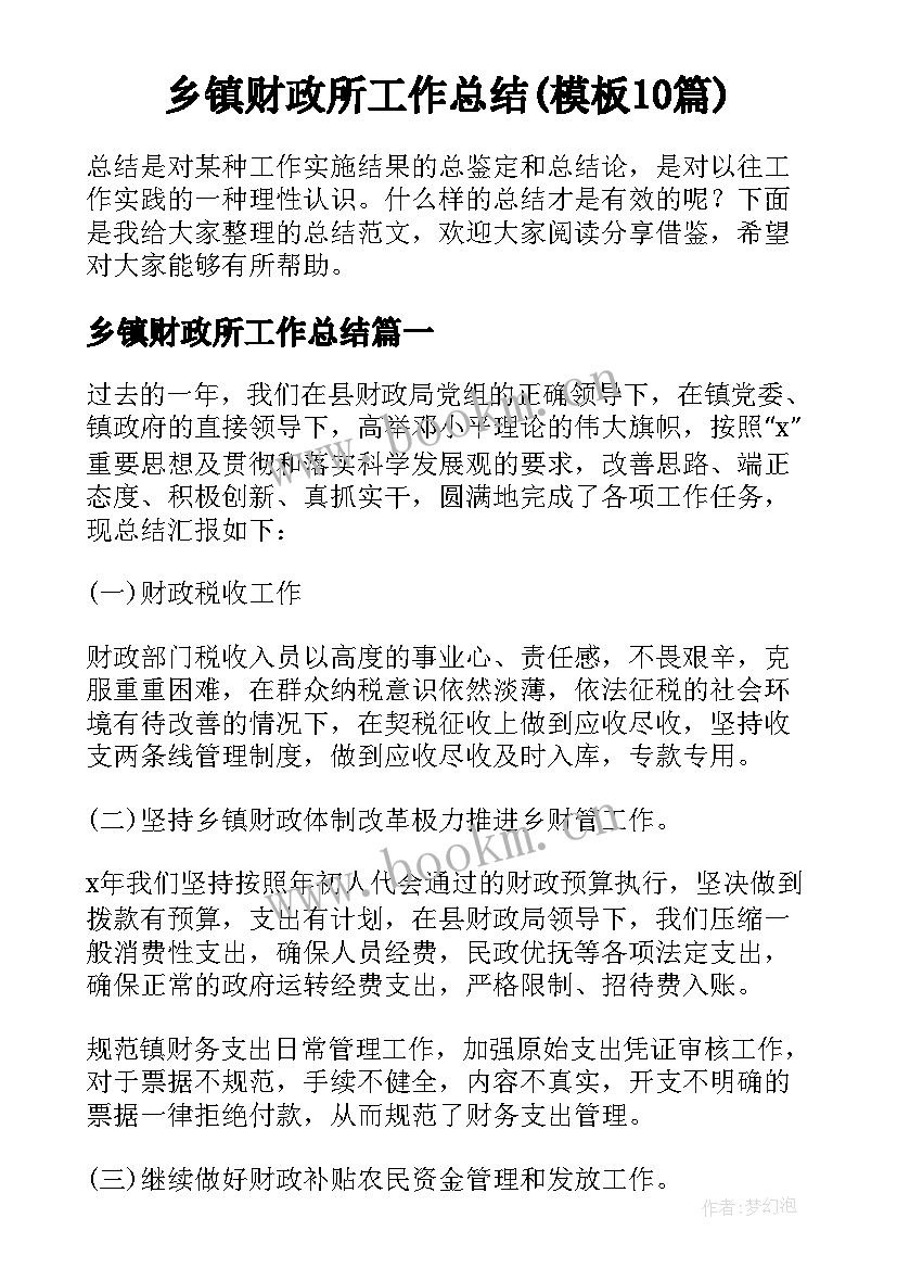 乡镇财政所工作总结(模板10篇)