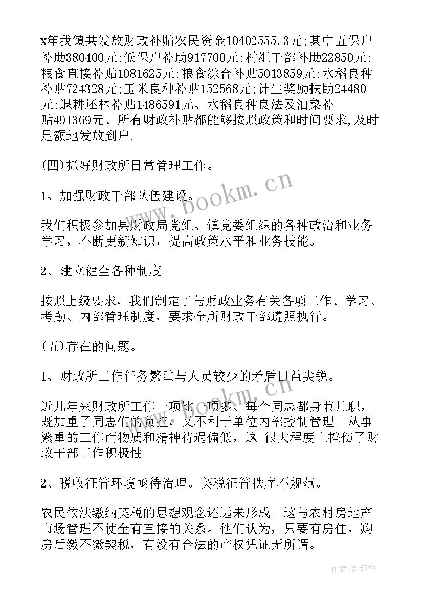 乡镇财政所工作总结(模板10篇)