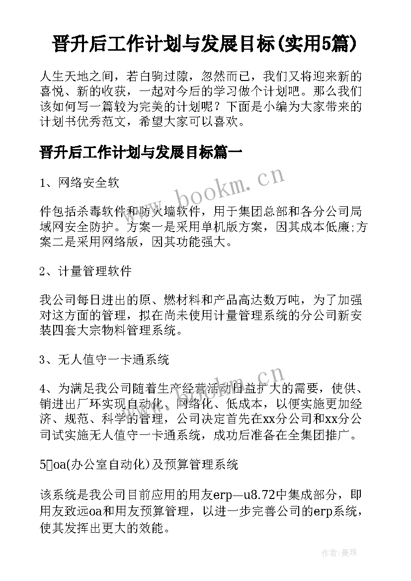 晋升后工作计划与发展目标(实用5篇)