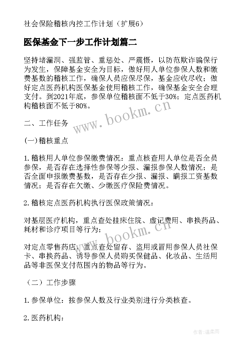 最新医保基金下一步工作计划 医保稽核内控工作计划(模板5篇)