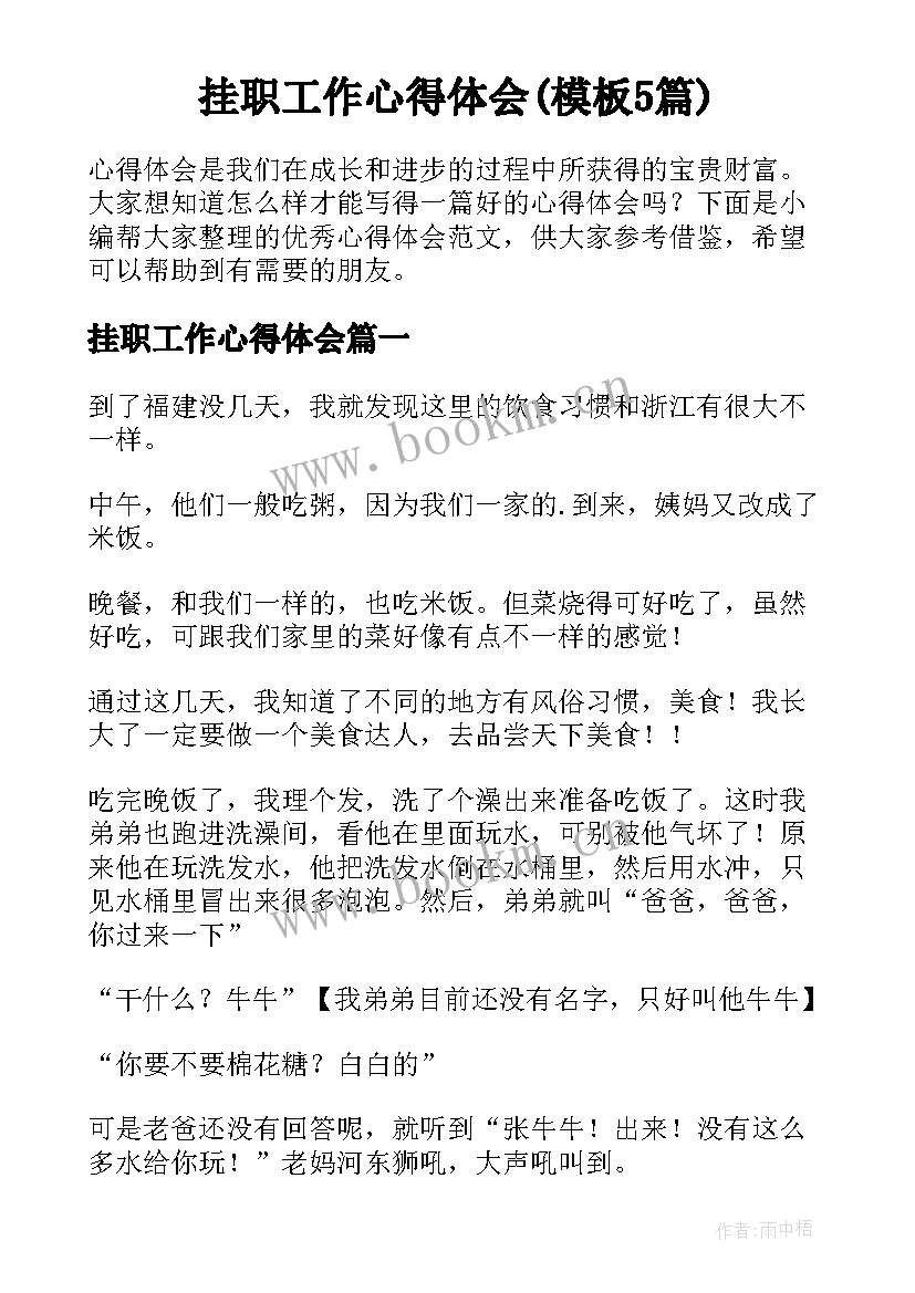 挂职工作心得体会(模板5篇)