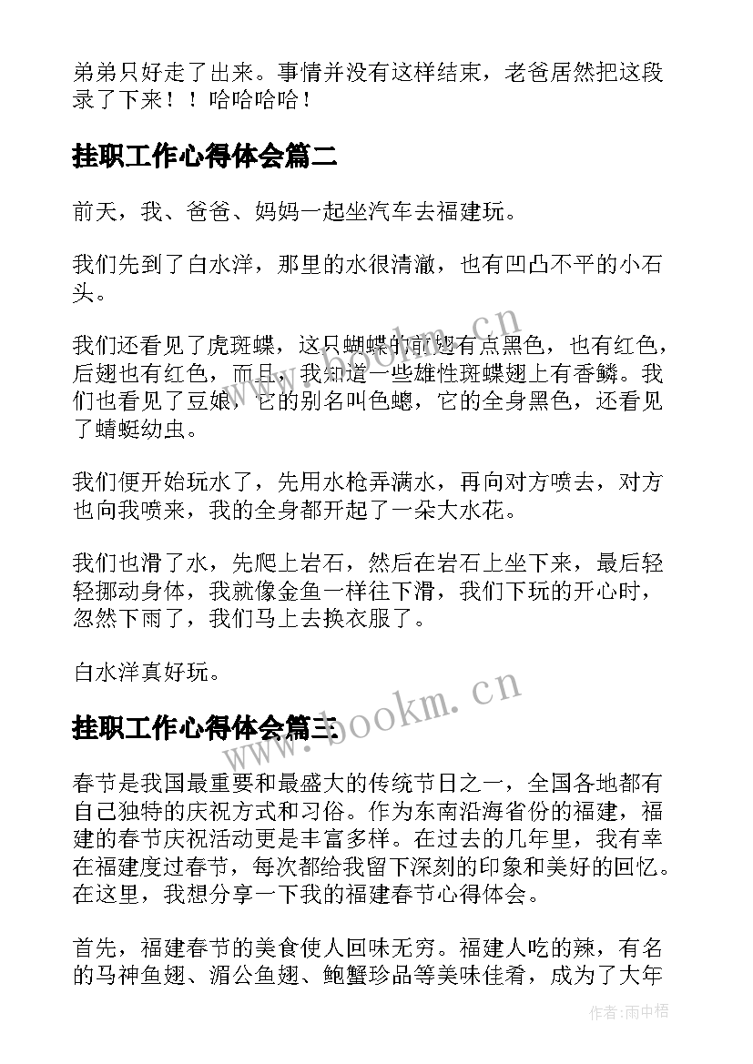 挂职工作心得体会(模板5篇)