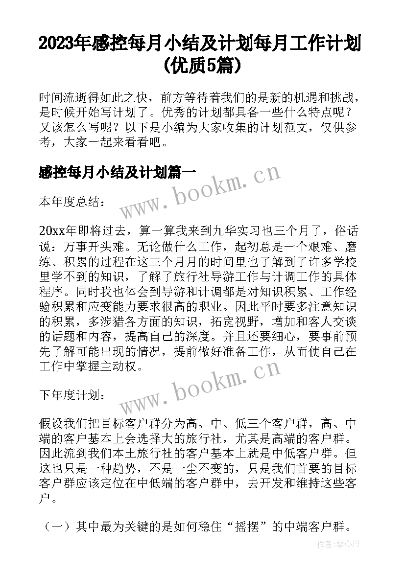 2023年感控每月小结及计划 每月工作计划(优质5篇)