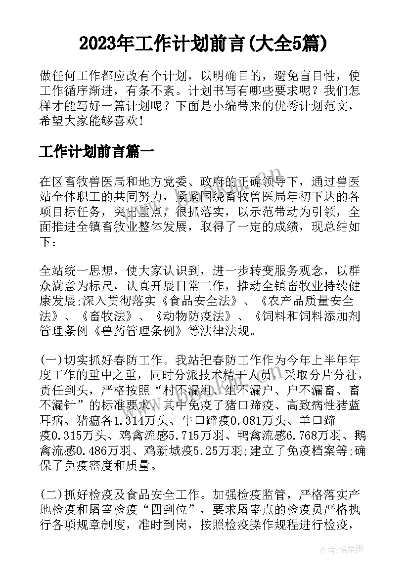 2023年工作计划前言(大全5篇)