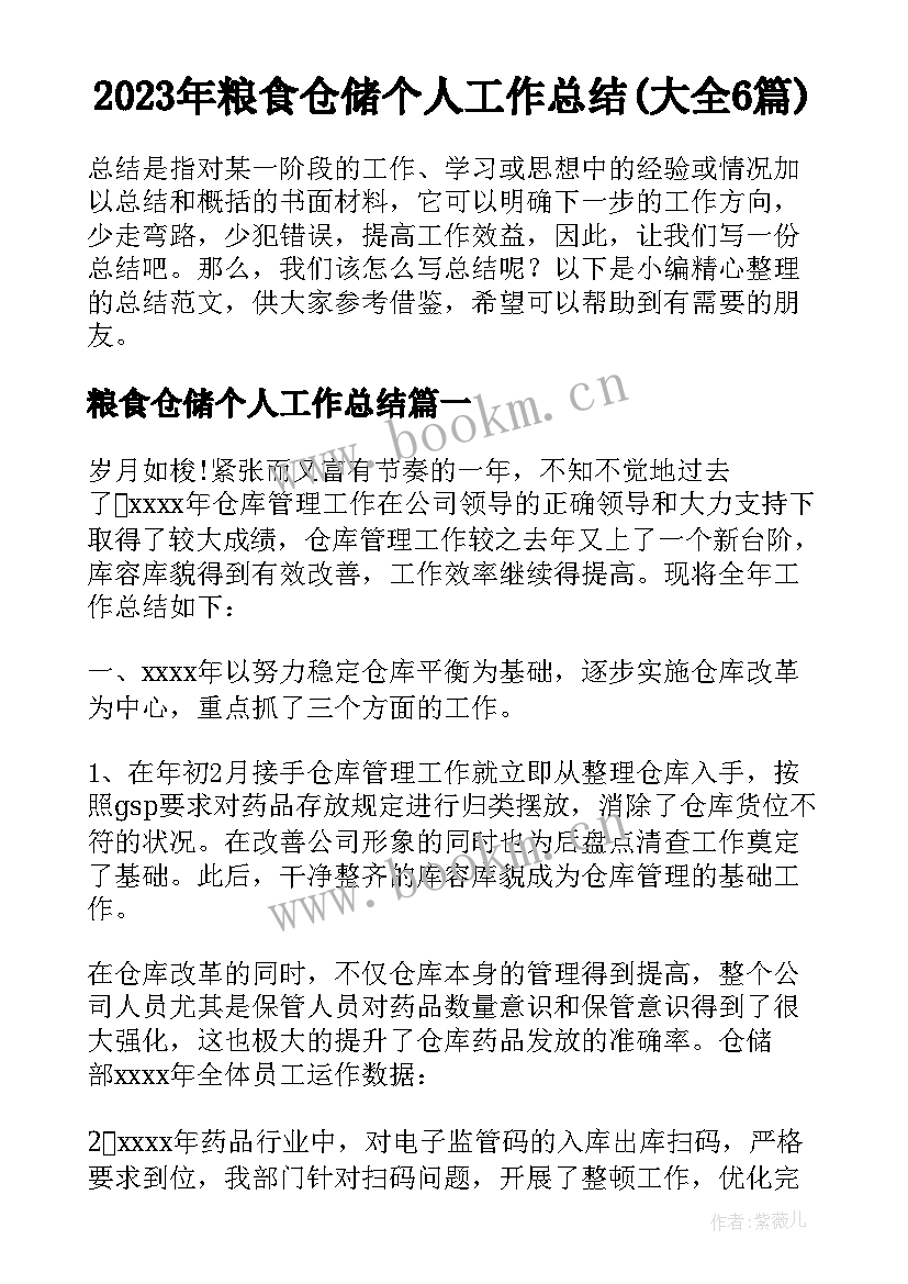 2023年粮食仓储个人工作总结(大全6篇)