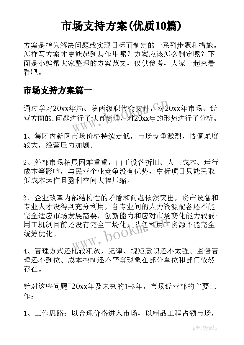 市场支持方案(优质10篇)