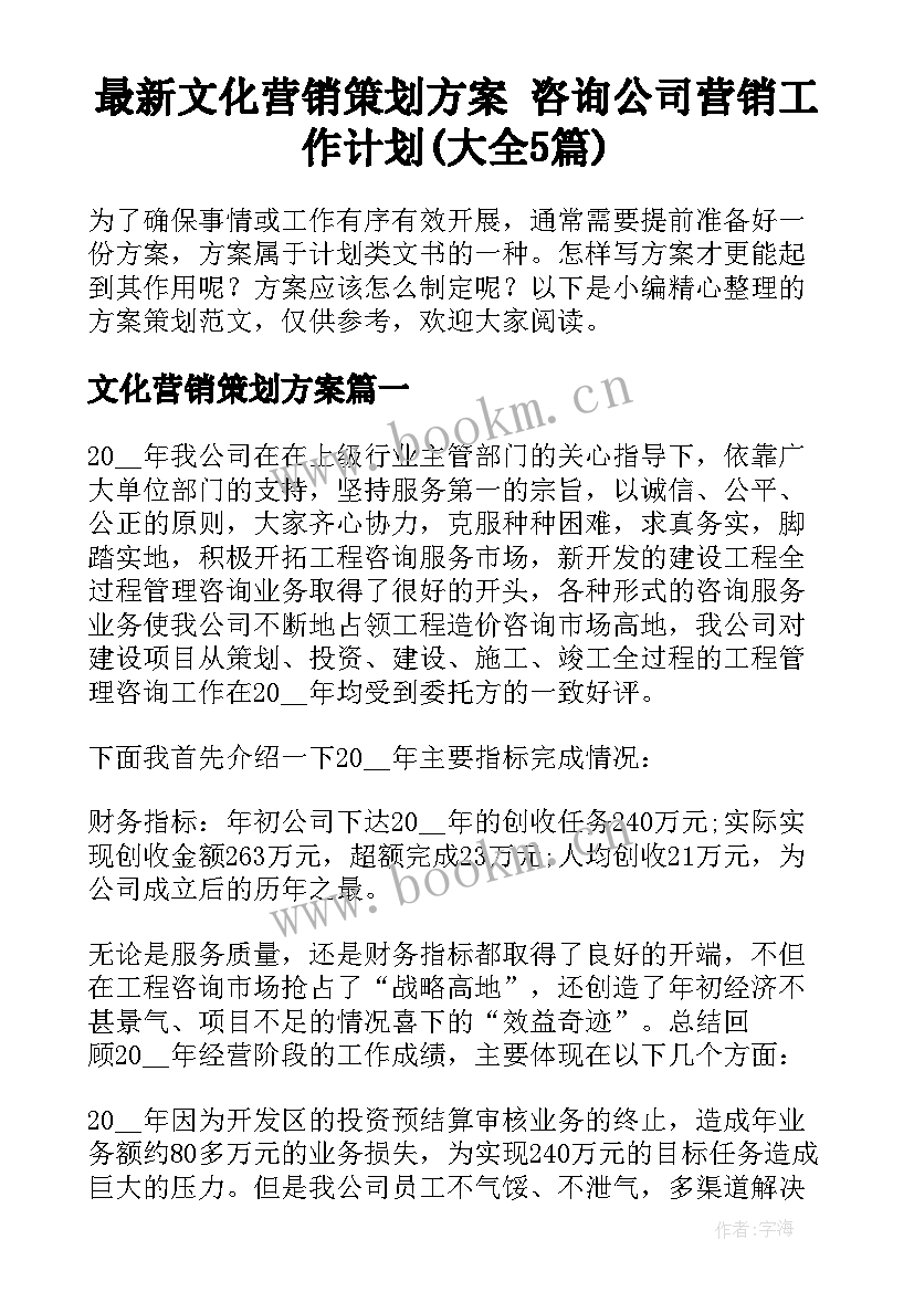 最新文化营销策划方案 咨询公司营销工作计划(大全5篇)