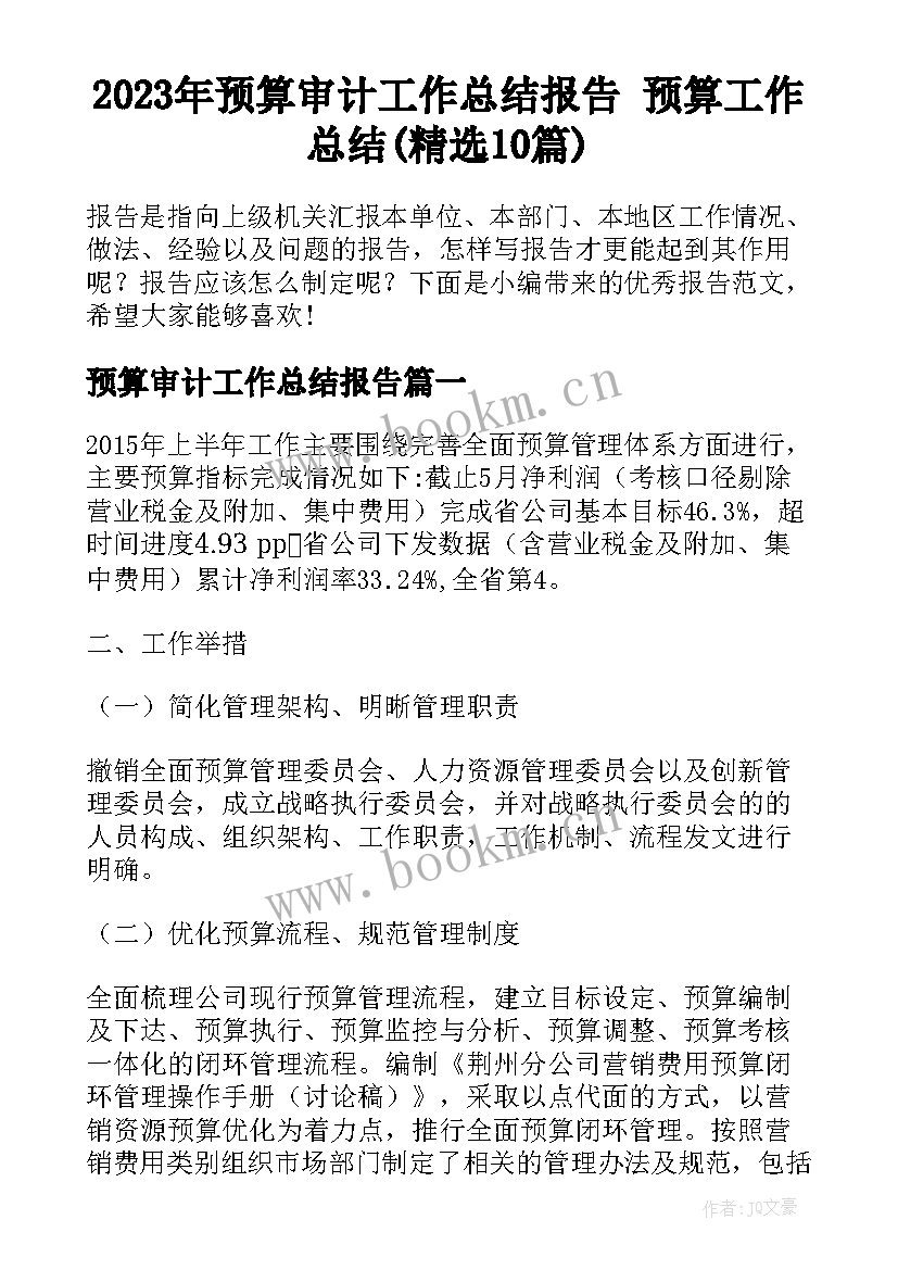 2023年预算审计工作总结报告 预算工作总结(精选10篇)