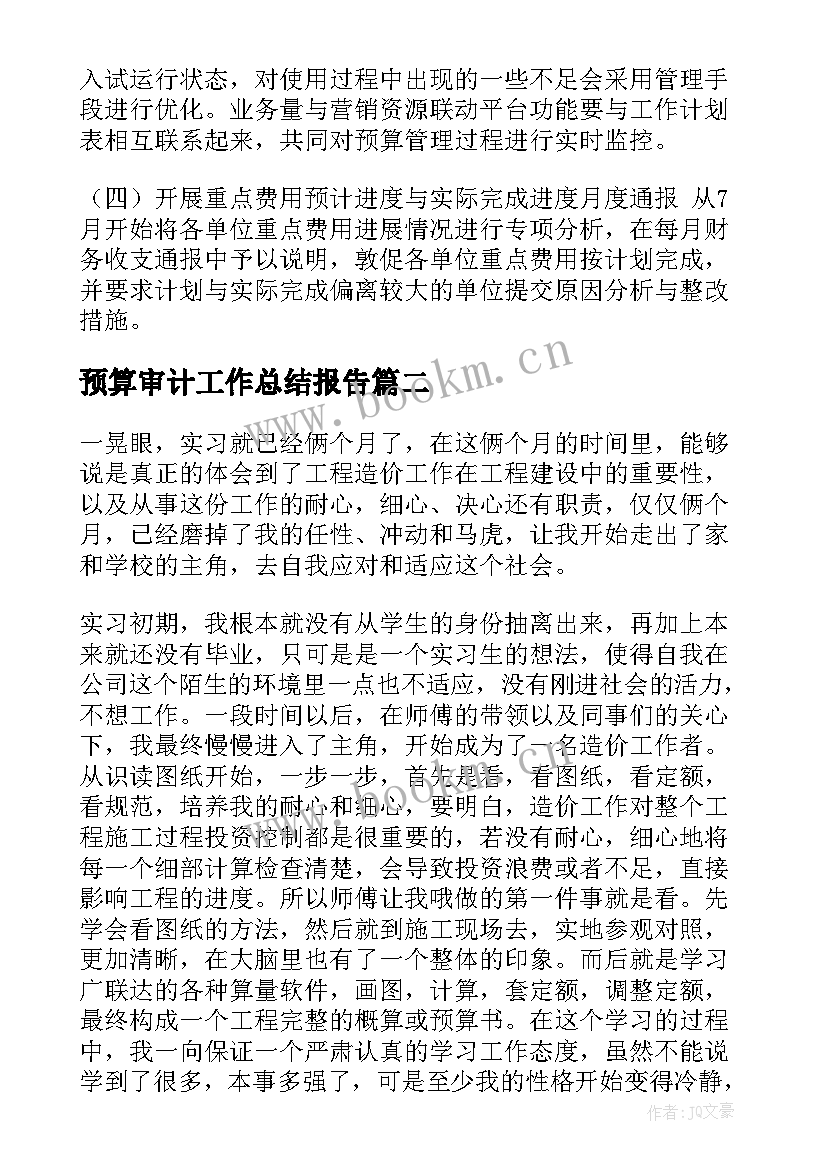 2023年预算审计工作总结报告 预算工作总结(精选10篇)